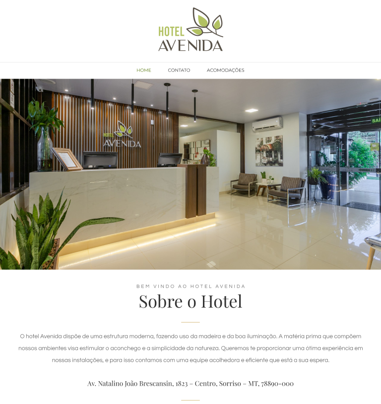 A screenshot of hotel avenida website